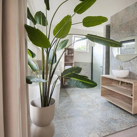 Hotel Boutique Elise